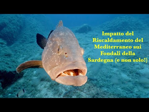 Sardegna, Arcipelago della Maddalena